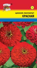 Цинния   лиллипут   КРАСНАЯ