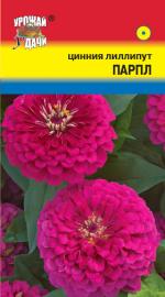 Цинния   лиллипут   ПАРПЛ
