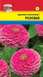Цинния   лиллипут   РОЗОВАЯ