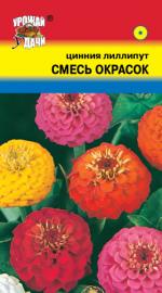 Цинния   лиллипут   СМЕСЬ ОКРАСОК