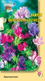 Эхиум   МИНИАТЮРНАЯ СМЕСЬ