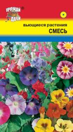 СМЕСЬ  ВЬЮЩИХСЯ  РАСТЕНИЙ