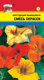 НАСТУРЦИЯ  ВЬЮЩАЯСЯ  СМЕСЬ  ОКРАСОК