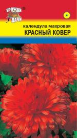 КАЛЕНДУЛА  КРАСНЫЙ  КОВЕР  МАХРОВАЯ