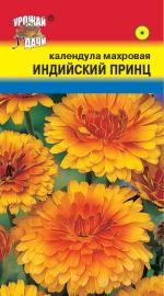 КАЛЕНДУЛА  ИНДИЙСКИЙ ПРИНЦ 