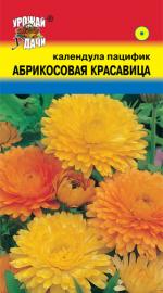 КАЛЕНДУЛА  АБРИКОСОВАЯ  КРАСАВИЦА  