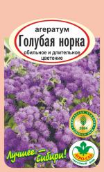 Агератум   ГОЛУБАЯ НОРКА