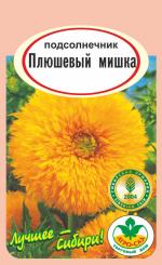 Подсолнечник  ПЛЮШЕВЫЙ  МИШКА