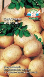картофель ассоль